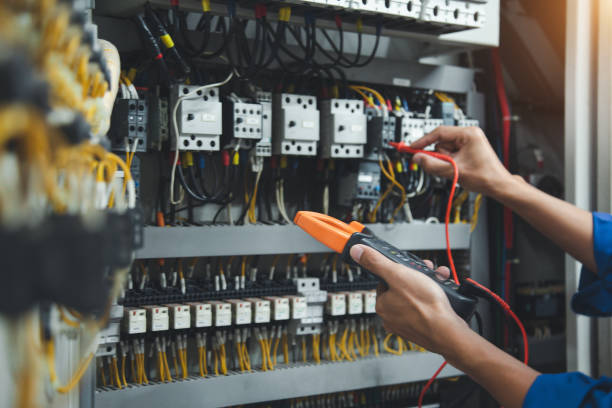 Best Electric Panel Repair  in Hamilton, TX